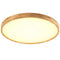 Ceiling light | Northeast