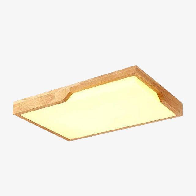 Ceiling light | Younoi