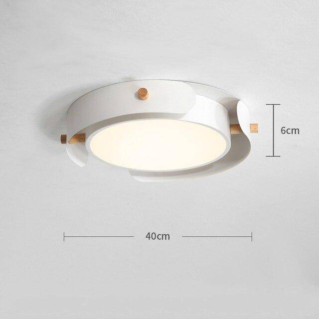 Ceiling light | Will fuck