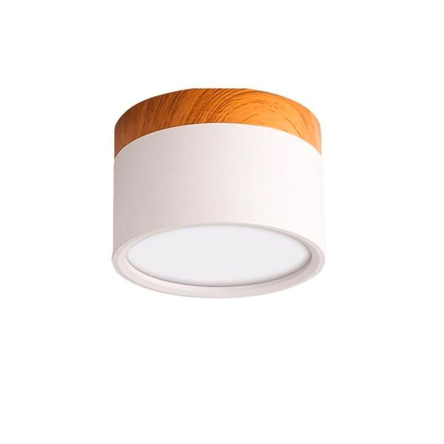 Spotlight | TRAMONTANA - Modilu